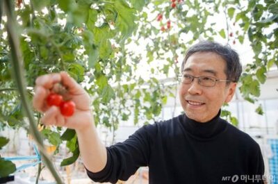 植物の「信号」キャッチ、状態を把握、水・養分をタイムリーに…韓国で新たな農業技術開発