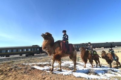 ラクダパトロール隊が鉄道の安全守る 新彊ウイグル