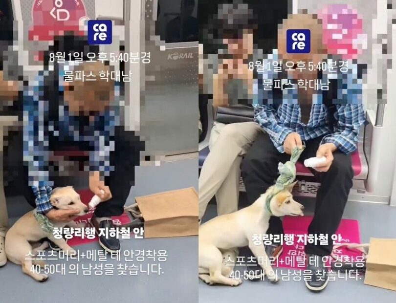 動物保護団体ケア(c)news1