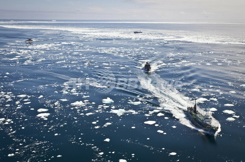 シー・シェパードが調査捕鯨妨害、南極海