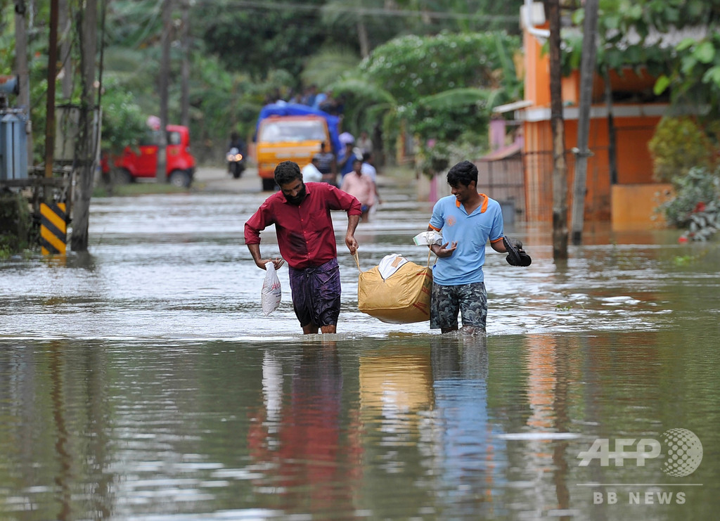 大洪水の印ケララ州、「ネズミ熱」で12人死亡 大洪水の印ケララ州、「ネズミ熱」で12人死亡