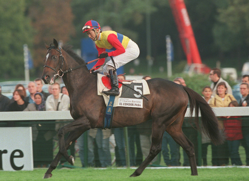 希少　レア　 凱旋門賞の歴史　第Ⅱ巻 1952〜1964　競馬　フランス 希少 レア 凱旋門賞の歴史 第Ⅱ巻 1952〜1964 競馬 フランス