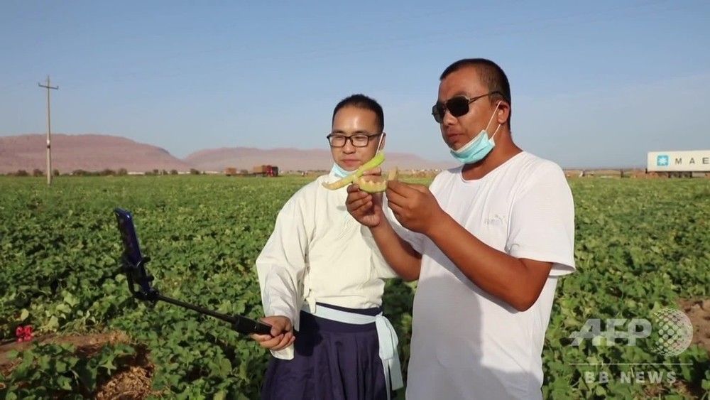 動画 ハミウリが収穫期 新たな販路も開拓 新疆 鄯善県 写真1枚 国際ニュース Afpbb News