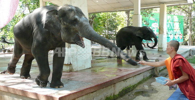 ヤンゴンから首都ネピドーへ、動物園を移転