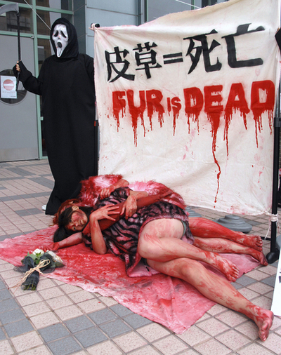 全身に赤いペンキ塗り「毛皮反対」、台北で動物保護団体