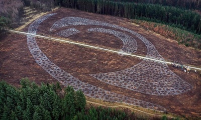 6年後には子どもの目の形に…英国で植林プロジェクト