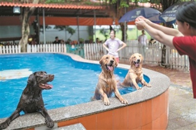 中国でペット関連学科がますます人気