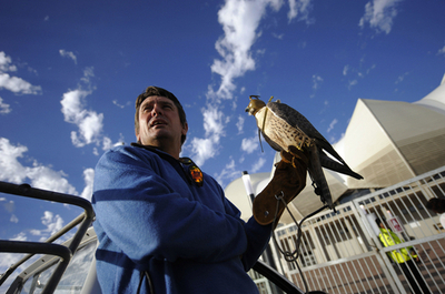 害獣対策に猛禽類、サッカーW杯スタジアムに導入　南アフリカ
