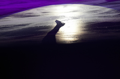 フランス杯も中止、フィギュアGPシリーズ第4戦