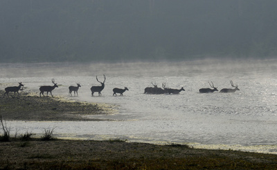 自然保護で高評価のネパール、裏で先住民「虐待」 人権団体報告