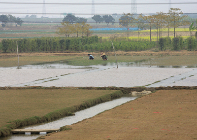 アジア女性の人身売買、中国で増加