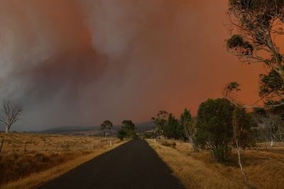 豪森林火災、変電所焼失で輪番停電の可能性 シドニー郊外に迫る火の手