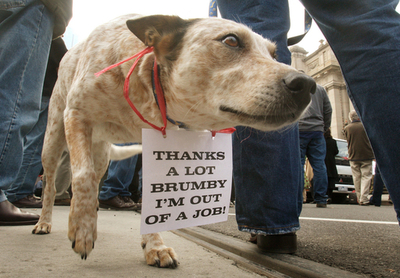 メルボルンの干ばつ対策に地元住民ら反発、牧羊犬も抗議運動