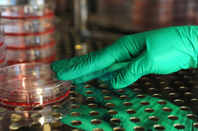 中国、がん研究者の論文不正を調査 独医学誌が100本超取り下げ