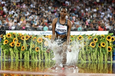 【写真特集】AFPが選んだ8月のスポーツ「TOPSHOT」