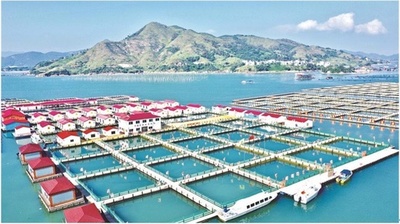 中国・福建省寧徳市 フウセイ産業の質の高い発展を実現