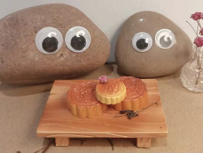 ペット石が中国の若者に人気 売上246％増