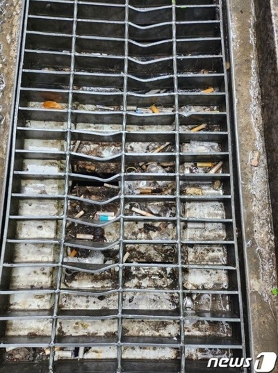 ポイ捨て吸い殻で詰まるソウルの側溝…「掃除してもその時だけ」水難の危険性