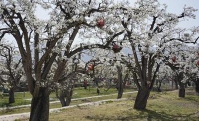 FAO  世界農業遺産に中国の3か所を新たに認定