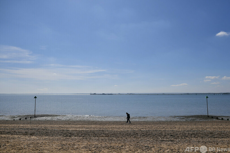 B級ホラー映画の祭典、ニッチ戦略で有名に 英