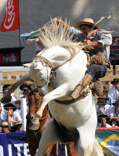暴れ馬に挑むガウチョたち ウルグアイで伝統のロデオ 写真枚 国際ニュース Afpbb News