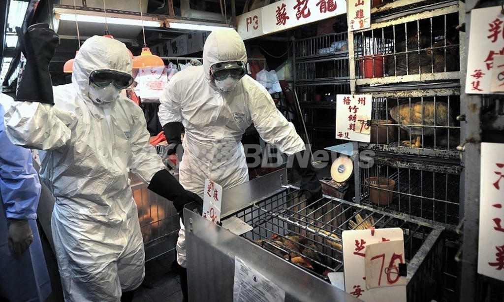 強毒性鳥インフルの感染研究、世界の研究者が再開を宣言 強毒性鳥インフルの感染研究、世界の研究者が再開を宣言