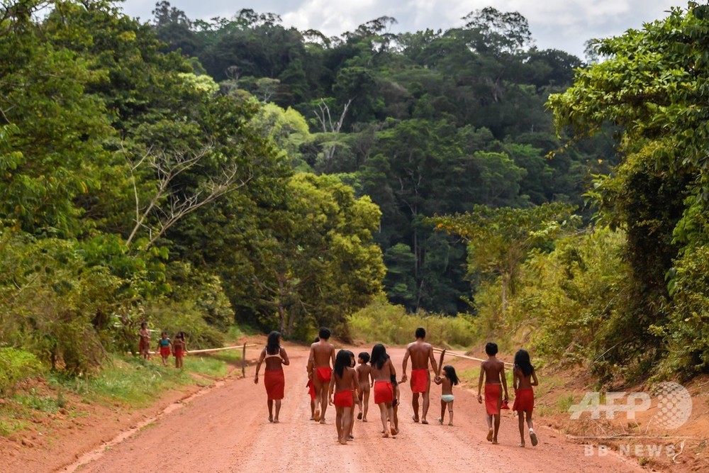 アマゾン先住民の指導者殺される、採掘業者が集落を占領 アマゾン先住民の指導者殺される、採掘業者が集落を占領
