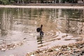 南アフリカ・ダーバンのごみが漂う海岸を歩く男性（2019年4月28日撮影）。(c)RAJESH JANTILAL / AFP