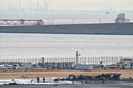 日本航空（JAL）の旅客機と衝突した海上保安庁の航空機。東京国際（羽田）空港で（2024年1月3日撮影）。(c)Richard A. Brooks / AFP