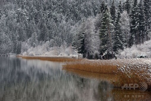 冬本番、森や湖に雪化粧 ドイツ 写真12枚 国際ニュース：AFPBB News