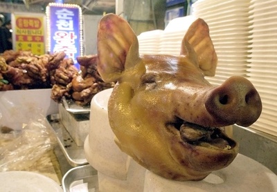 韓国で口蹄疫の感染を確認、3年ぶり発生