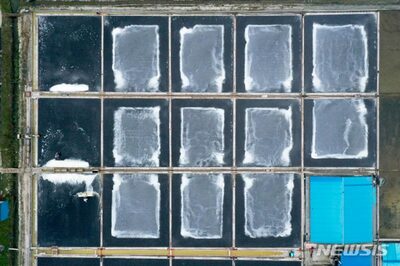 韓国・塩田でまたも「強制労働」疑惑…「本人の拒否・法的根拠なく」塩田主と被害者が分離されず