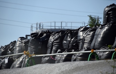 福島原発事故の除染、放射線レベル低下も森林に「問題残る」 調査