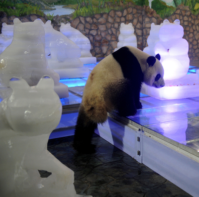 「アースアワー」にパンダも協力