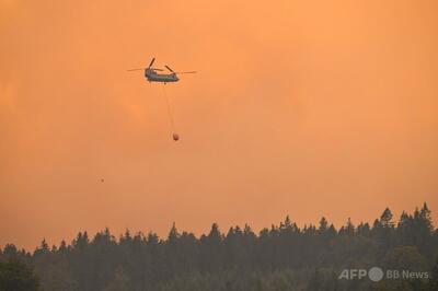ドイツ国境の町で一部避難命令、隣国ベルギーの山火事迫る