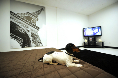 お犬様御用達？ハリウッドの高級専用ホテル