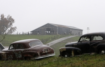 猛獣56頭逃げる、54頭を射殺または捕獲 所有者は自殺 米オハイオ州