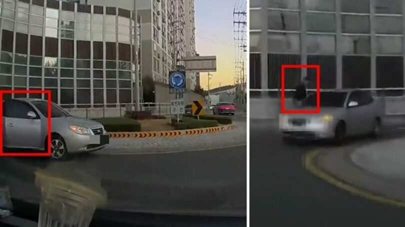 「ボベドリーム」(c)MONEYTODAY