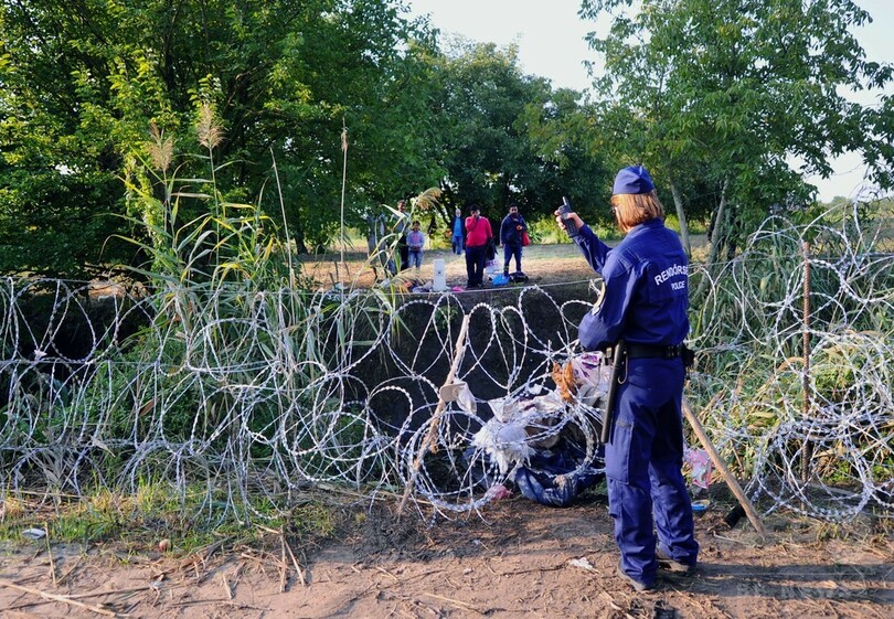 移民防ぐ有刺鉄線、セルビア国境に設置 ハンガリー