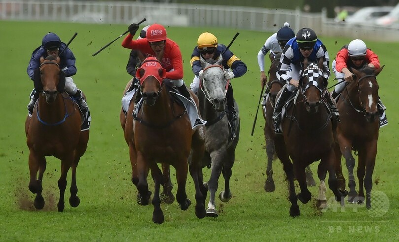 レッドゼル、芝レース世界最高賞金のジ・エベレストを制す