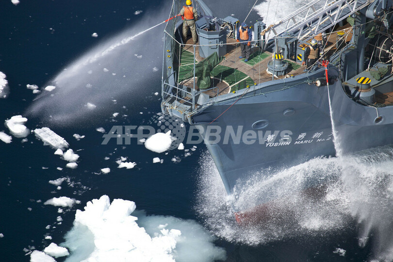 シー・シェパードが調査捕鯨妨害、南極海