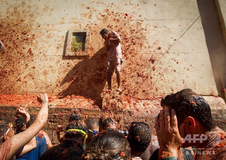 投げて転んで大はしゃぎ スペインでトマト祭り開催 写真30枚 国際ニュース Afpbb News