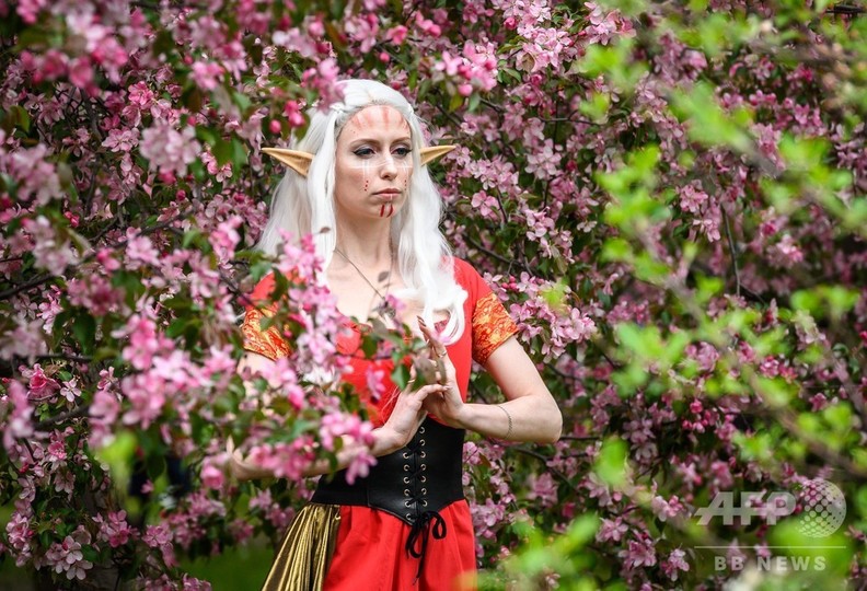 モスクワで桜が見頃に 女性たちが Sns映え 狙って写真撮影 写真15枚 国際ニュース Afpbb News