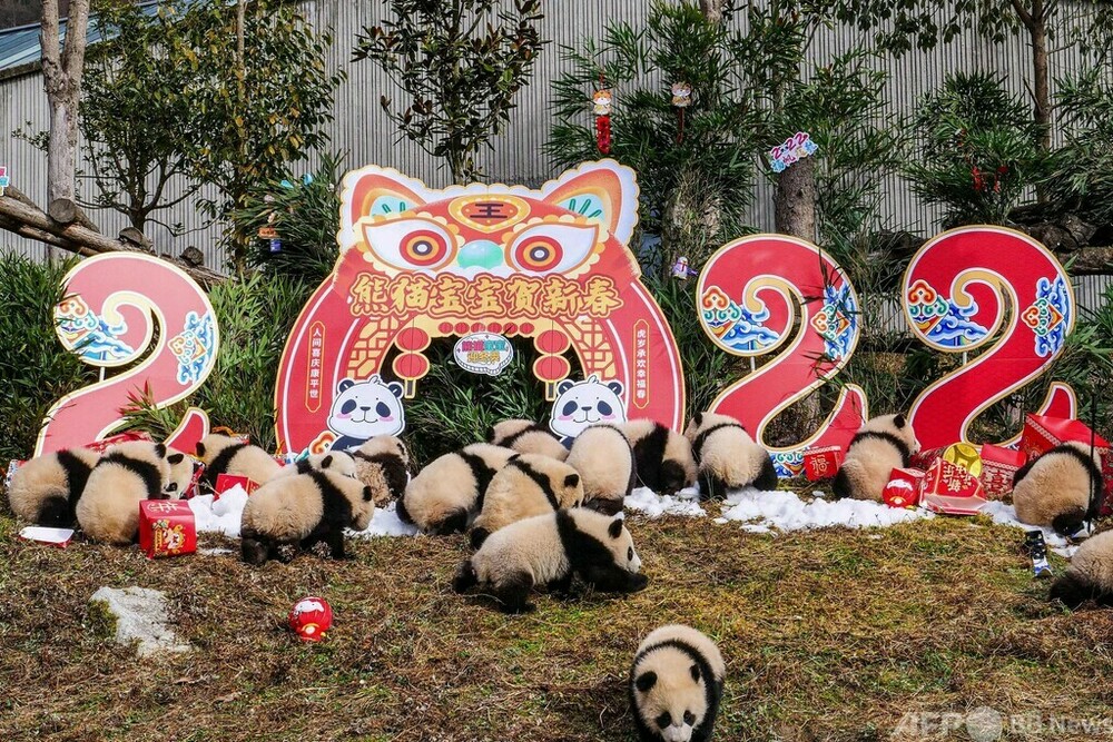 パンダの木製屏風 4つ折り　パンダ　中国製　刺繍 楽天市場】蜀 刺繍 パンダ 刺繍 蘇 刺繍 中国 特色 人 海外 交換 ギフト パンダ 基地の お土産 : Grams楽天市場店 