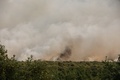 フランス南西部で起きた山火事の煙（2022年6月13日撮影）。(c)Thibaud MORITZ / AFP