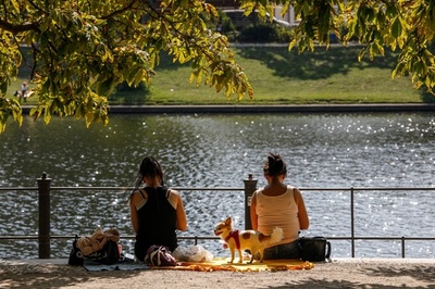 コロナ、飼い主からペットに感染の可能性 研究