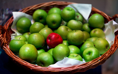 地球温暖化でリンゴが軟化、甘みは増加 果樹研究所が発表