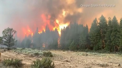 動画：米・カナダ西部で猛暑、山火事も多数発生