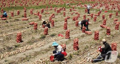 「8カ月では足りない」農村の悲鳴…韓国の外国人季節労働者「延長10カ月」案が迷走する理由