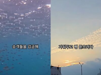 「韓国・鬱陵島の倉庫に監禁され、特産品を強要された」…再生8万回の告発動画は「虚偽」、自治体がデマYouTuberに法的対応